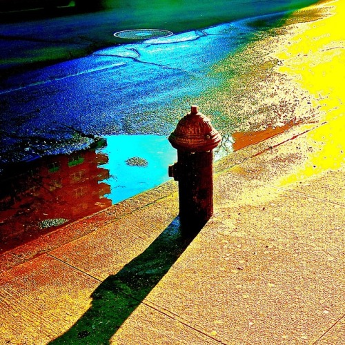 lizacharlesworth1:Just a Hydrant, Queens by Liza Charlesworth