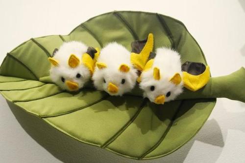 honduran white bat plush