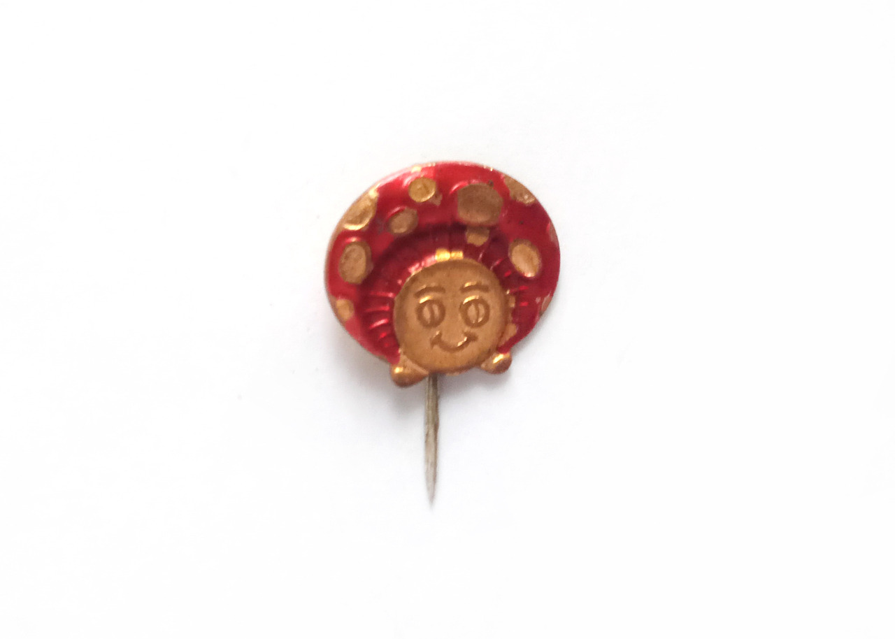 I can’t decide whether this pin is of a mushroom or a ladybug. What do you think?