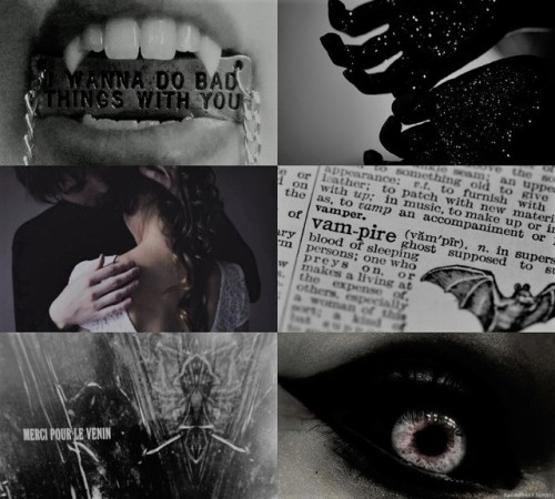 hailodinson:vampire aesthetic❝ How blessed are some people,...