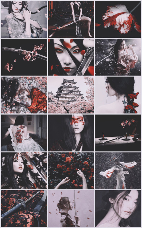 aestheticschaos:Samurai Fairy aestheticrequested by...