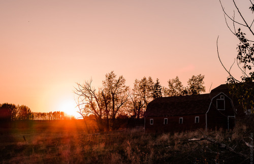 thisherelight:mid may in alberta