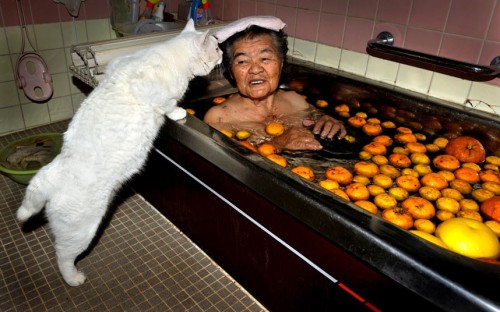 thecatdogblog:Nine years ago, Japanese photographer Miyoko Ihara...