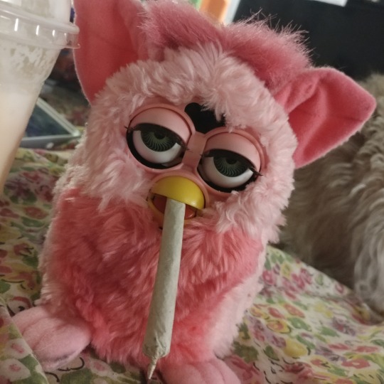 pink furby 1998