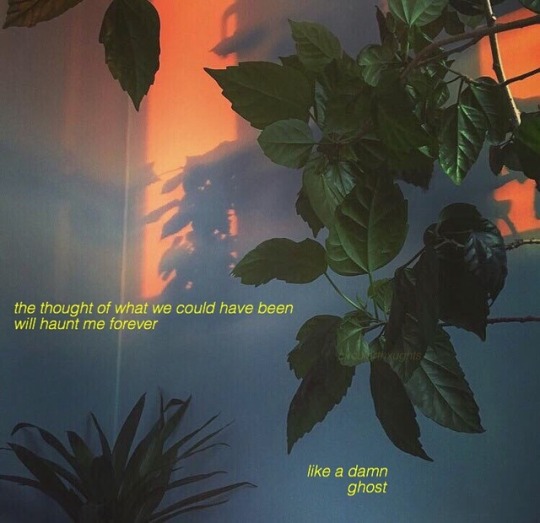 tumblr quotes aesthetic