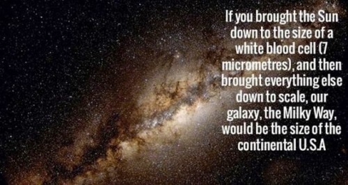 weirdsciencefacts:The gigantic universe