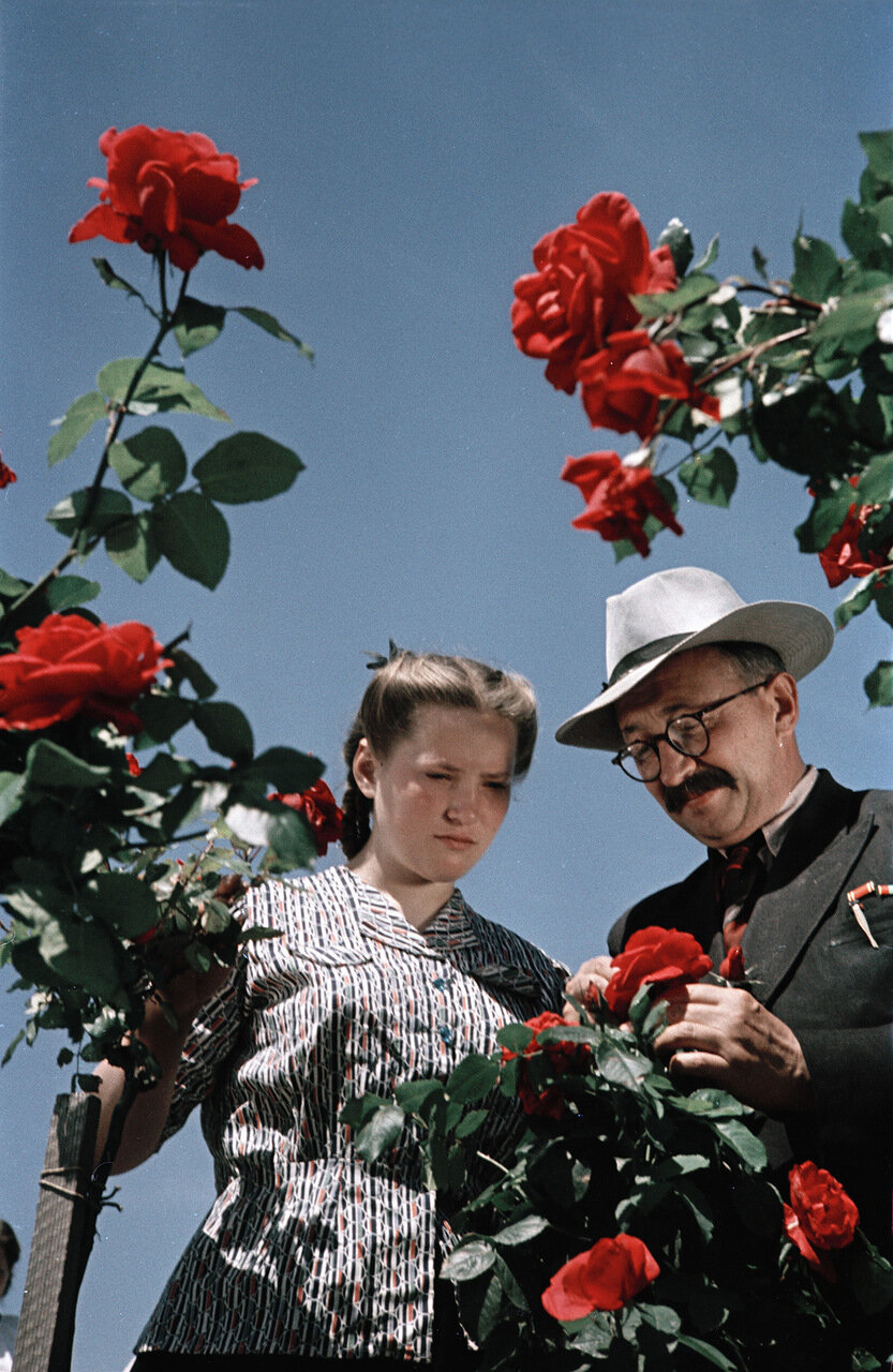 Academic Grishko in rose garden of Kyiv Botanical Garden.