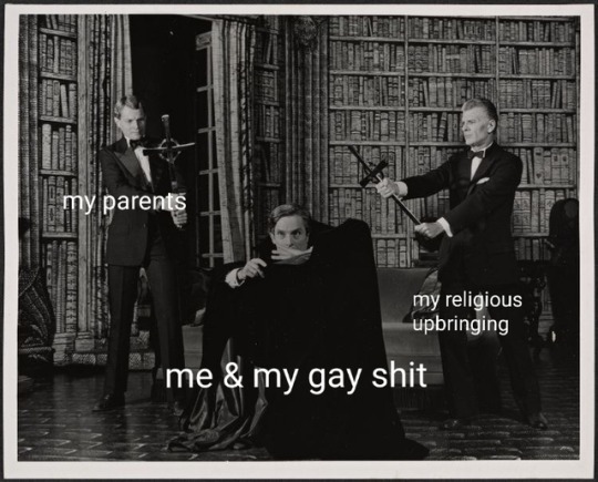 so gay meme tumblr