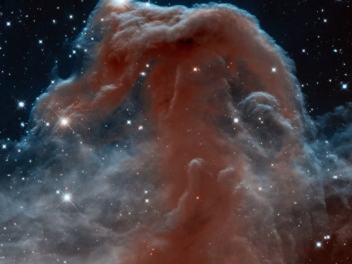 spinningblueball:Horsehead Nebula