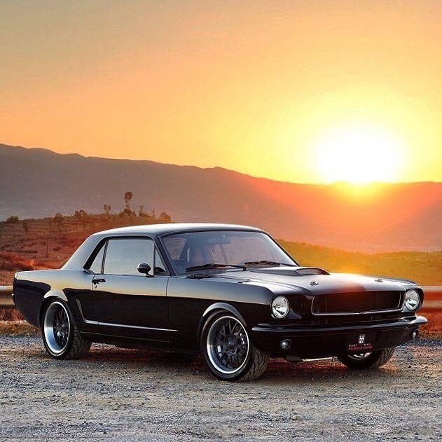 muscle cars on Tumblr