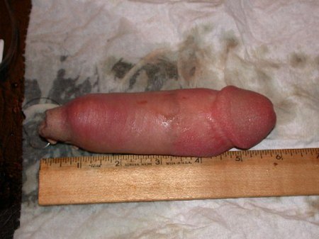 Eppolito recommends best of Black couple sex tape procedure Clit photos piercing