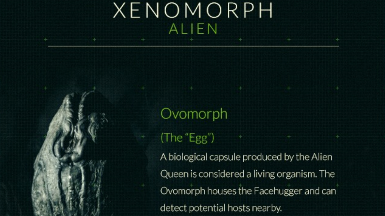 Alien Xenomorph Evolution