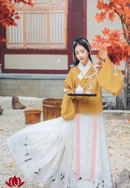 ziseviolet:Traditional Chinese Hanfu - Type: Aoqun/袄裙.