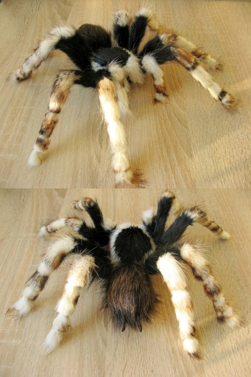 Plush Spiders Lifelike Spider Art On Etsy See