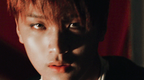 tumblr_or6nquVaES1vaozwio3_r1_500.gif