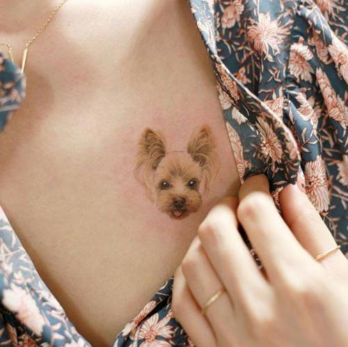 By Doy, done at Inkedwall, Seoul. http://ttoo.co/p/36459 small;pet;dog;animal;chest;tiny;yorkshire terrier;ifttt;little;realistic;doy