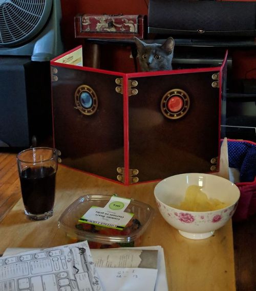 dawwwwfactory:Our new Dungeon Master getting ready to start...