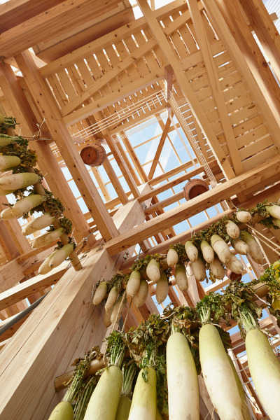 Nest We Grow / UC Berkeley + Kengo Kuma Associates