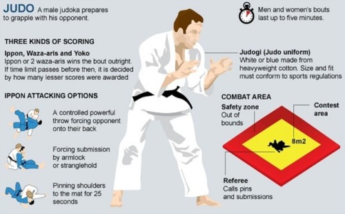 severelyfuturisticharmony:Judo (柔道 jūdō, meaning “gentle way”)...