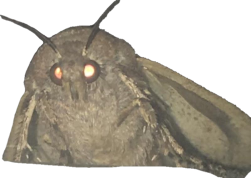 cleansifyer