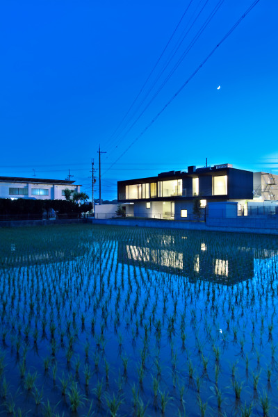 dezeen:<br /><br />This home and gallery space in Japan appears to float above the surrounding rice paddy fields »