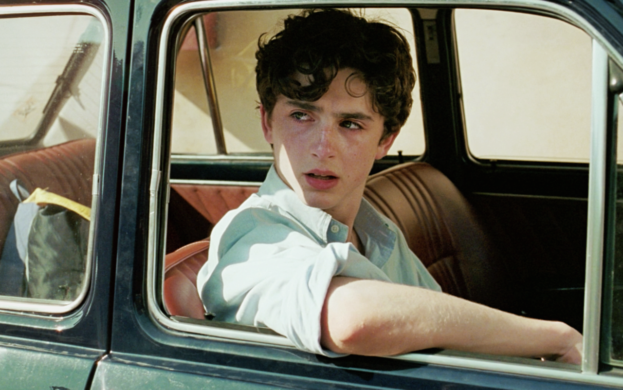 genterie:
“ Timothée Chalamet in Call Me By Your Name (2017)
”