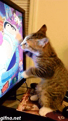 tumblr_nfliyavSyQ1s0mbfho1_250.gifv