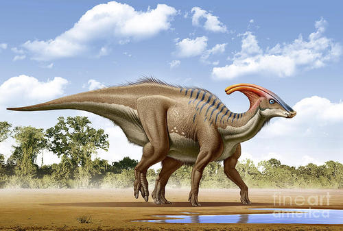 parasaurolophus real