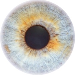 1998 Eye Color Chart
