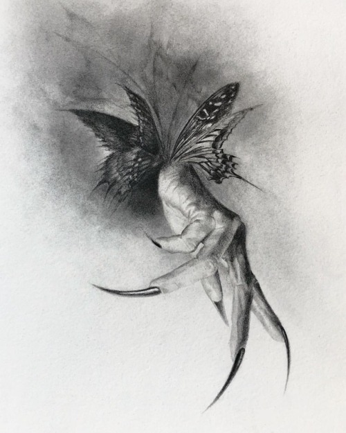 Here is the final image of the ButterflyAshes drawing. If you...