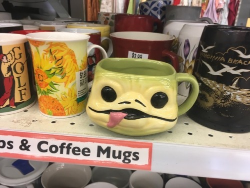 susanbauman:shiftythrifting:a terrifying frog and a whole...