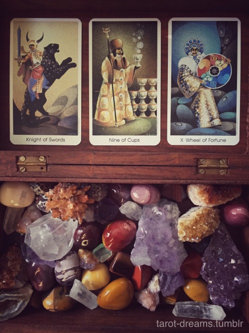 tarot-dreams:Knight of Swords. Nine of Cups. Wheel of...