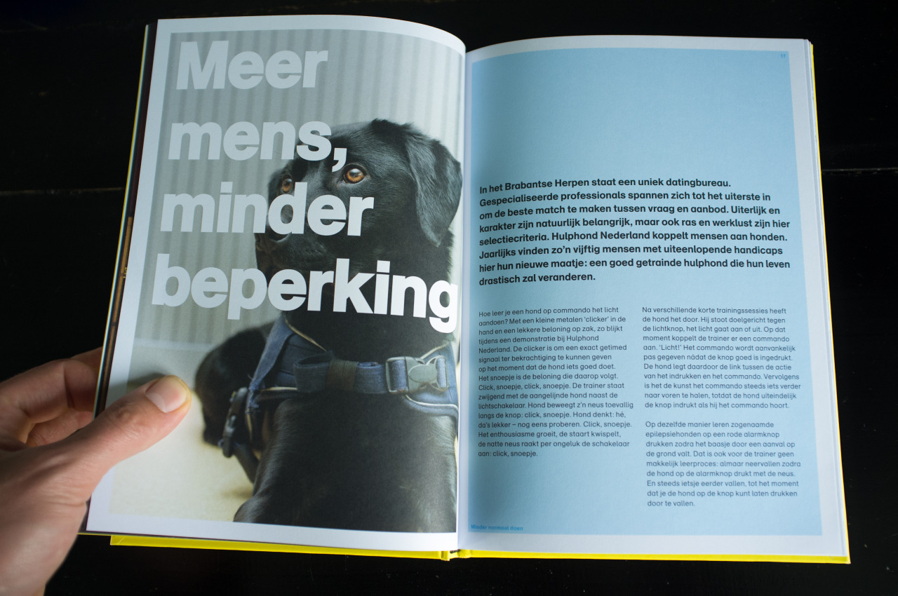 Dating Bureau voor een handicap