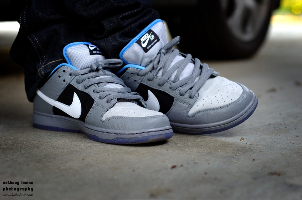 nike sb petoskey