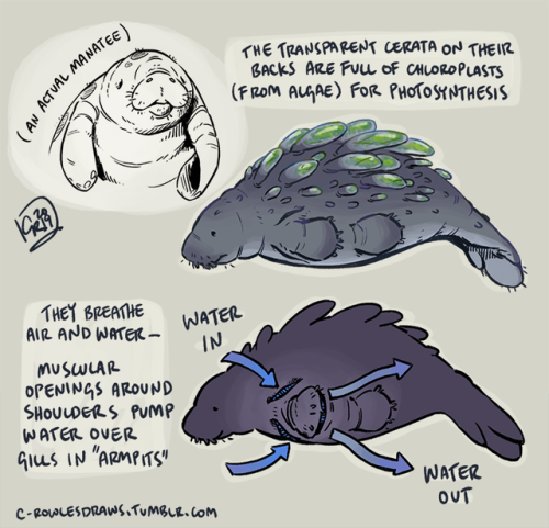 c-rowlesdraws:I’m in Florida, and that means I’m thinking...