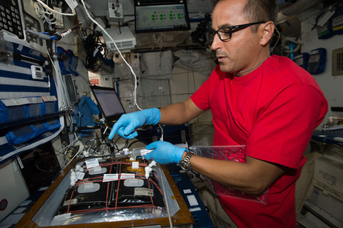 Astronaut Joe Acaba Farms in Space via NASA...