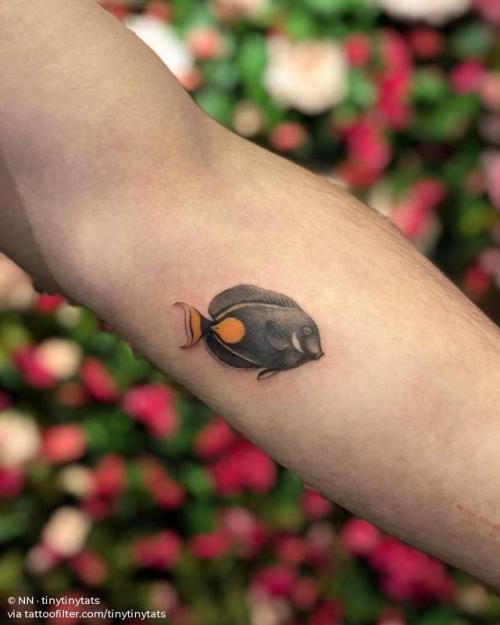 By NN · tinytinytats, done at Tattoo Factory BCN, Barcelona.... small;tinytinytats;animal;tiny;fish;achilles tang;ifttt;little;nature;ocean;inner forearm;illustrative