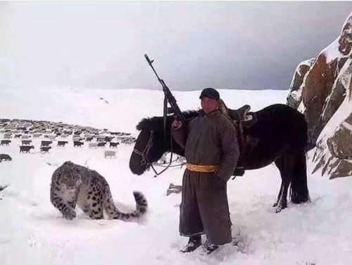 A Mongolian shepherd with an AK47 and a pet snow leopard