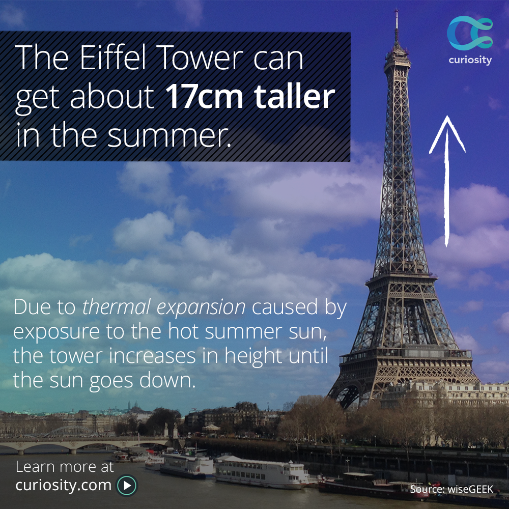 Curiosity — The height of the Eiffel Tower—which is 324 meters...