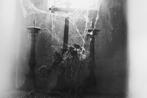 pere lachaise paris grave nynewe michaela knizova goth dark beauty melancholia spiderweb cimetiere cemetery new romanticism sentimentality scary