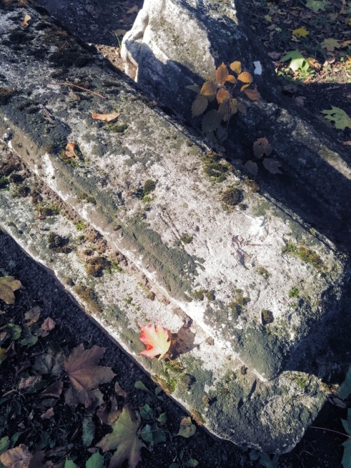 frankensteinsbrides:October vibes. The Old Donskoye Cemetery...