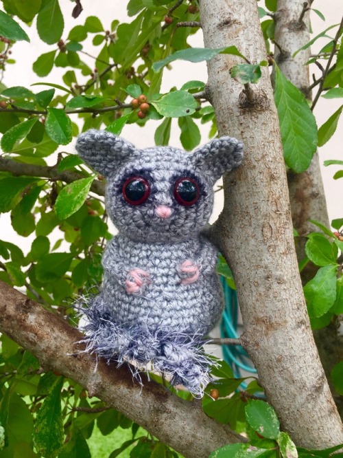 tamigurumi:Amigurumi Bushbaby designed and crocheted by me :)