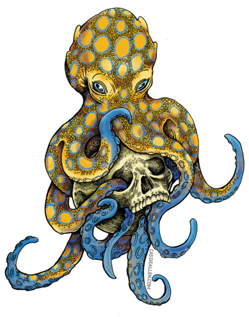 callendraws:the deadly blue-ringed octopus(Hey folks, sorry. 