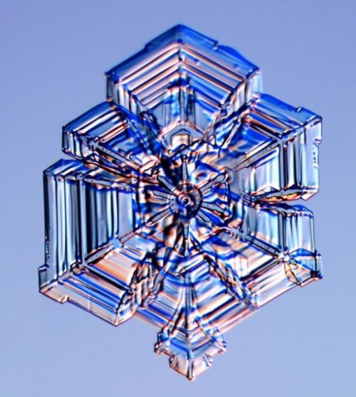 You’ve watched this week’s video, on “The Science of Snowflakes”, right? A lot of people have asked this question: “Okay, so snowflakes have six sides because physics, but why are they symmetrical?!” Here, “symmetrical” means that each of a snowflake’s six arms has a similar, often nearly identical set of fractal plates and branches. What gives? If randomness and the intermolecular physics of water molecules are the only things guiding the formation of a snowflake, how does one arm have any idea what another is doing? In your head, you might think snowflakes all look like this: (photo by Alexey Kljatov) Well, as the images up top show, most snowflakes don’t look like that. Snow crystals usually aren’t completely symmetrical. Instead, they are quite irregular and lumpy, full of conglomerations and corrections. The hexagonal crystal structure holds up in all cases, but the sort of perfect fractal sculpture you’ve been led to believe defines a snowflake? It’s a half-truth, at best. Sorry. I probably should have been more clear about that in the video! The world’s great snowflake photographers through the years, from Wilson Bentley to Kenneth Libbrecht to Alexey Kljatov, have, for the most part, chosen to only show you the most beautiful examples of snow crystals. Sometimes they wait hours, sifting through thousands of flakes with (literally) bated breath, just to capture that one perfect frigid starburst. They aren’t trying to trick you, many artists’ eyes just prefer the symmetrical ones. That being said, even in irregular snowflakes, when it comes to the branches, sub-branches, and sub-sub-branches, there’s still a remarkable amount of symmetry. What’s up with that? Let’s retrace the path of a snowflake and see if we can find an answer. As a speck of dust falls through cold air of a particular humidity, it acts as a nucleus of crystallization, capturing water molecules from the air into the growing crystal. And, as we saw in the video, the precise hydrogen bond angles between water molecules give us the familiar hexagonal shape, an emergent pattern that exists from the molecular to the macro scale. All those branches off of the hexagon, each plate, dendrite, arm, prism, or whoozywhatsit that grows from the central plate, each forms at a particular combination of temperature and humidity. Consult the following: Very cold? We get columns. Cold and high humidity? Dendrites. Cold and medium humidity? Sectored plates. Still, none of this explains how two separate arms can form complementary patterns. I know … Get to the point, Joe. The current thinking, and I must emphasize that this part remains somewhat of a mystery, is this: During a particular snowflake’s delicate dance down to Earth, all six branches will pass through the same tiny, specific pockets of humidity and temperature, all six branches will be subject to the same air currents, all six branches will experience a nearly identical (but not totally identical) evolution. Imagine if we played human evolution back six times! We would get similar results, perhaps, but not identical. Snowflakes really are a hell of a metaphor, man. And when all that doesn’t work? When the journey doesn’t result in the perfect six-sided mirror reflections that float through the snow flurries of our imaginations? Well, imperfection is a part of life, whether you’re a snowflake or a human being. In both, artists tend to show us the ideal, but we must remember that there is beauty in the flaws. And so we return to the images above, and we appreciate them anew.