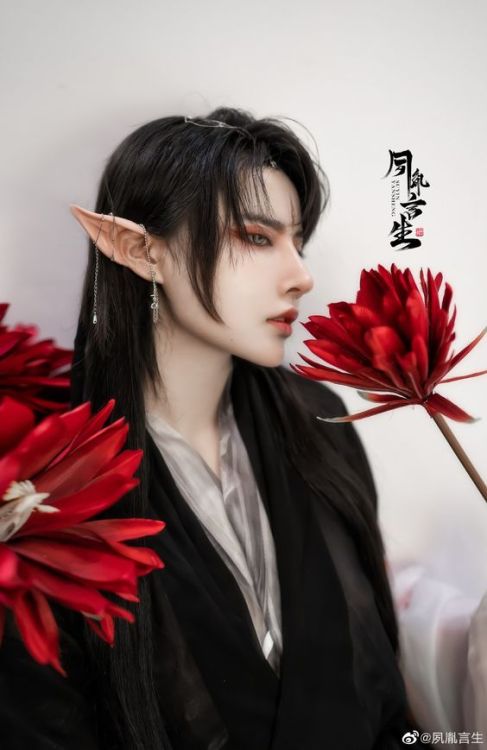 chinaaesthetic