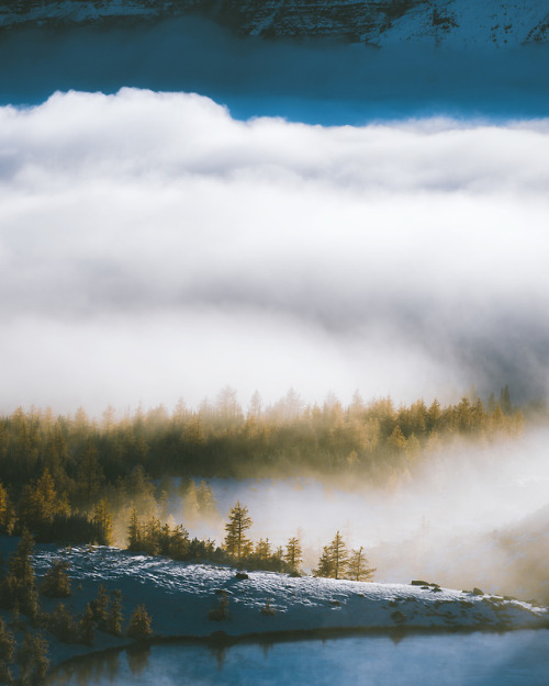 escapekit:Fall in Alberta . Seattle-based...