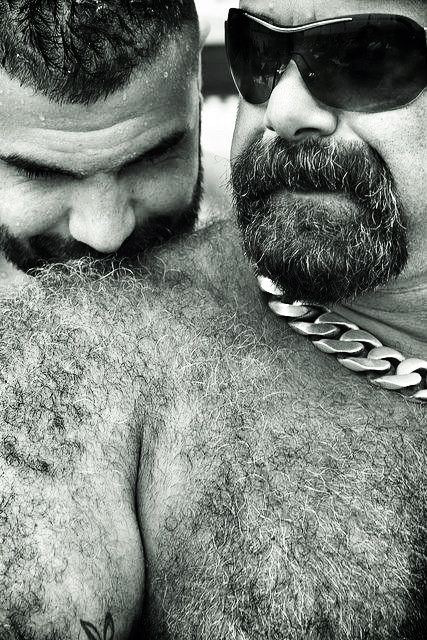 Gay bear quotes