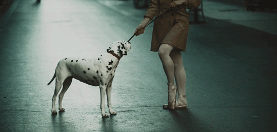 tumblr_poj1o51vqp1x1rzago1_540.gif