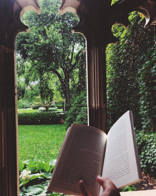 whilereadingandwalking:Sun showers. ☀️☀️☀️