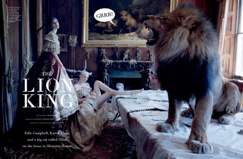 game-of-style:House Lannister - The Lion King by Tim Walker...